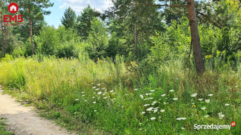Do sprzedaży grunt 1370m2 Skrybicze podlaskie Ciasne