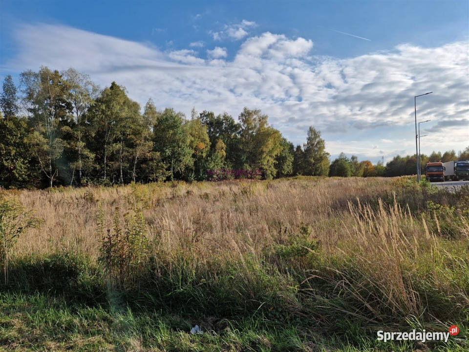 Grunt 6275m2 Gorzyczki śląskie