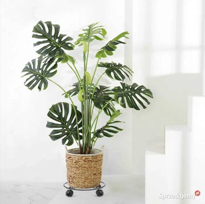 Nowe 2 wózki na rośliny stojak z kółkami sprzedam