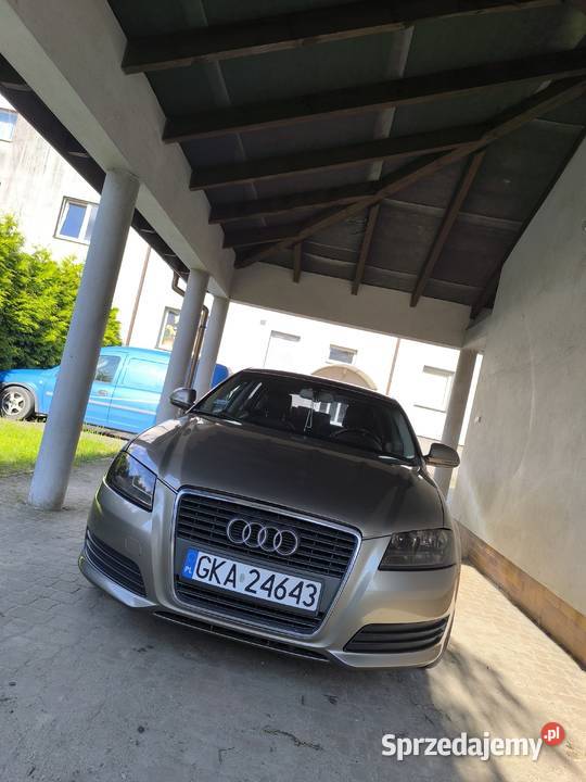 Audi A3 8P pomorskie