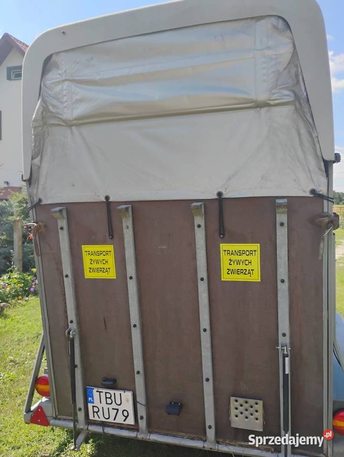 Przyczepa do transportu koni