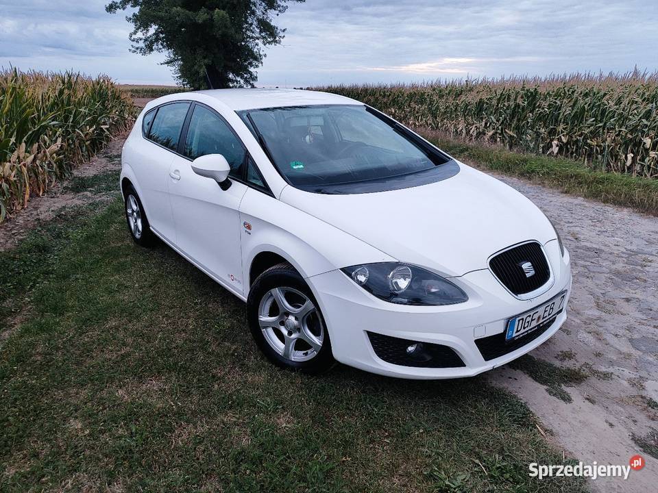 Seat Leon COPA 12 TSI 105 opolskie Krobusz