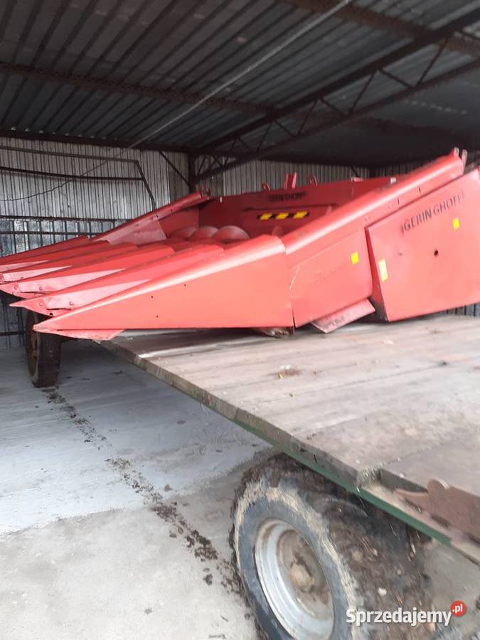 Przystawka do kukurydzy 5 rzędowa geringhoff Szczucin