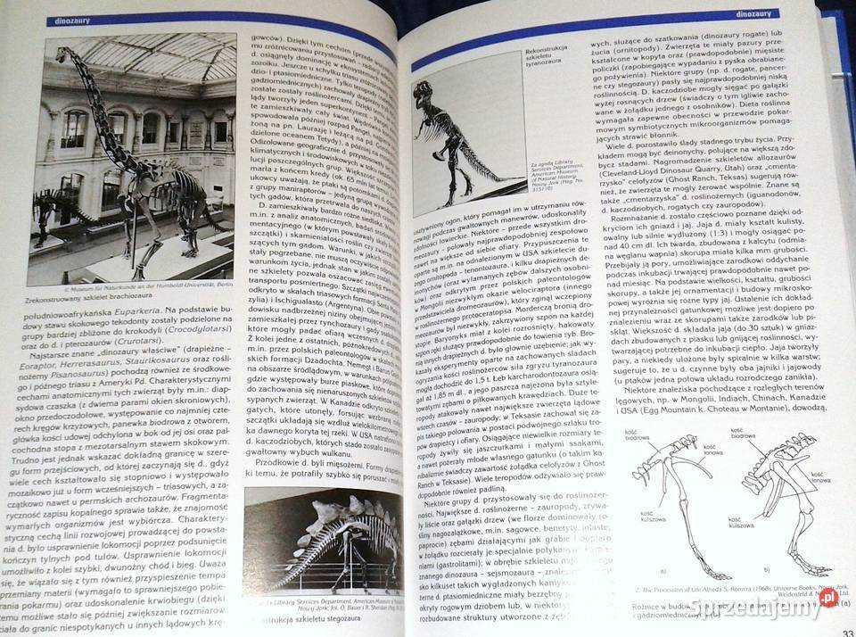 Encyklopedia audiowizualna Britannica Zoologia lubelskie Chełm