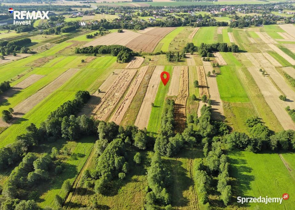Działka rolna natury Rybarzowice sprzedam