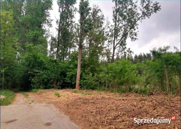 Działka budowlana drodze asfaltowej RATY Borzymów