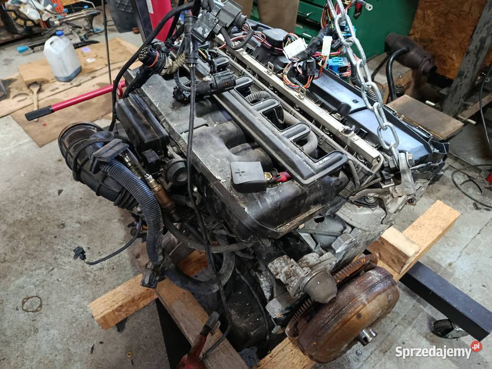 BMW E39 530i 2002 170 Individual silnik Rok produkcji 2002 Warszawa sprzedam