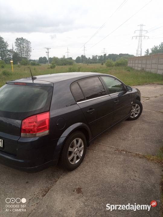 Sprzedam Opel Signum Lpg Signum Przęsocin