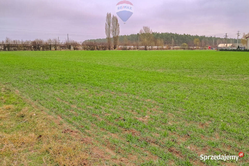 Działka Budowlana w Świnicach Warckich 7222 m Sprzedaż Świnice Warckie