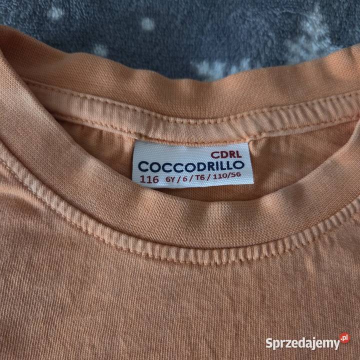 Bluzeczki chłopięce rozmiar 116 6 lat+ Biała Podlaska sprzedam