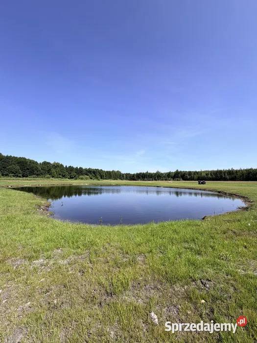 Działki rekreacyjne ze stawami w Łochowicach 6991m2 Sprzedaż Łochowice