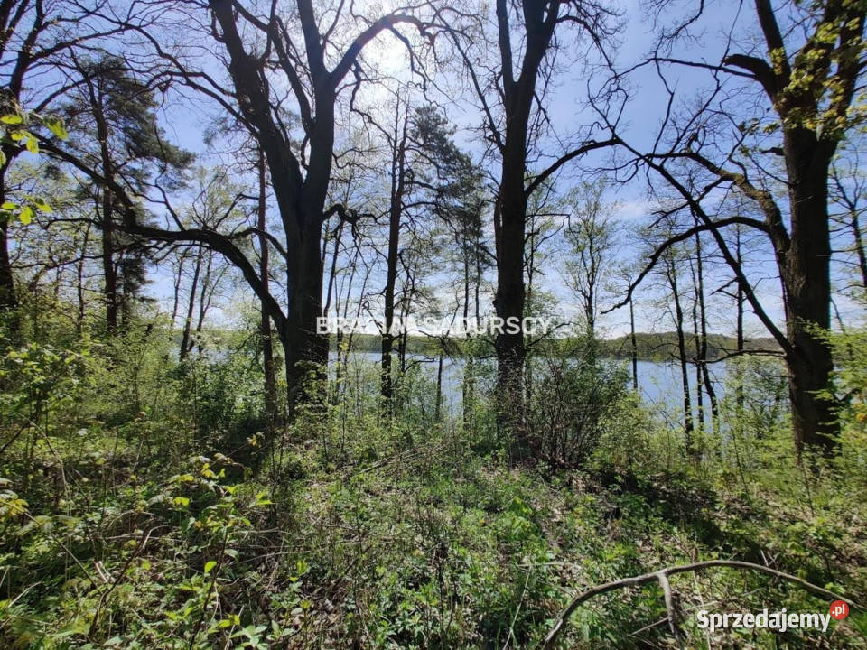 Grunt Łukta 22941m2