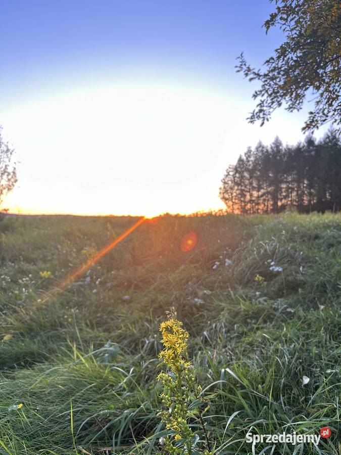 Na sprzedaż działki budowlane podkarpackie Wola Krzywiecka sprzedam