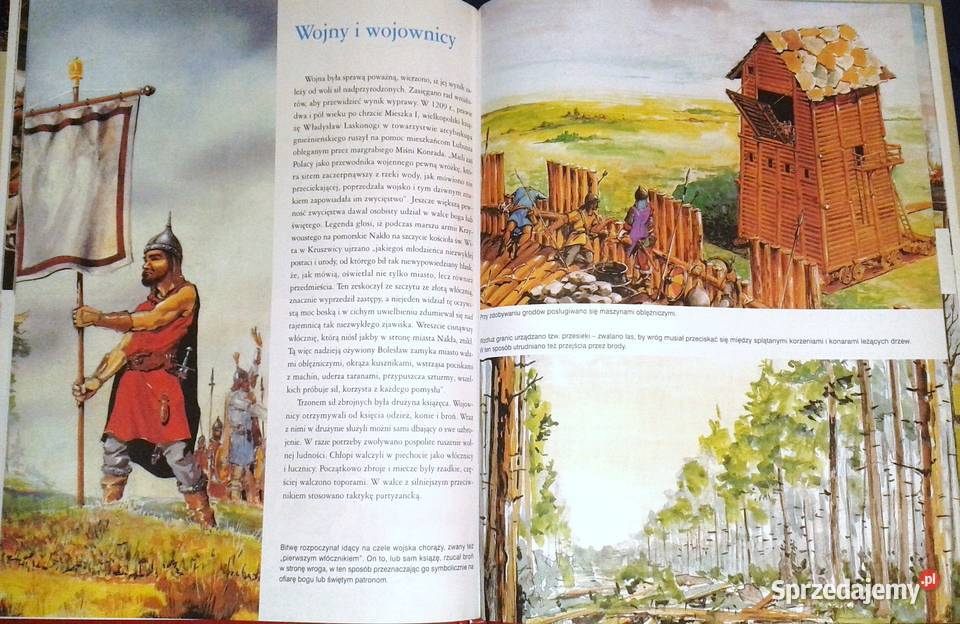 Piasta do Kadłubka W dawnej Polsce M Cetwiński Rok wydania 1995 Chełm