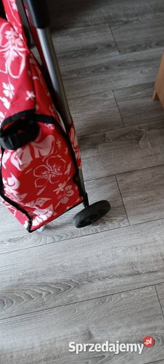 torba na zakupy wózek na kółkach wielkopolskie Poznań