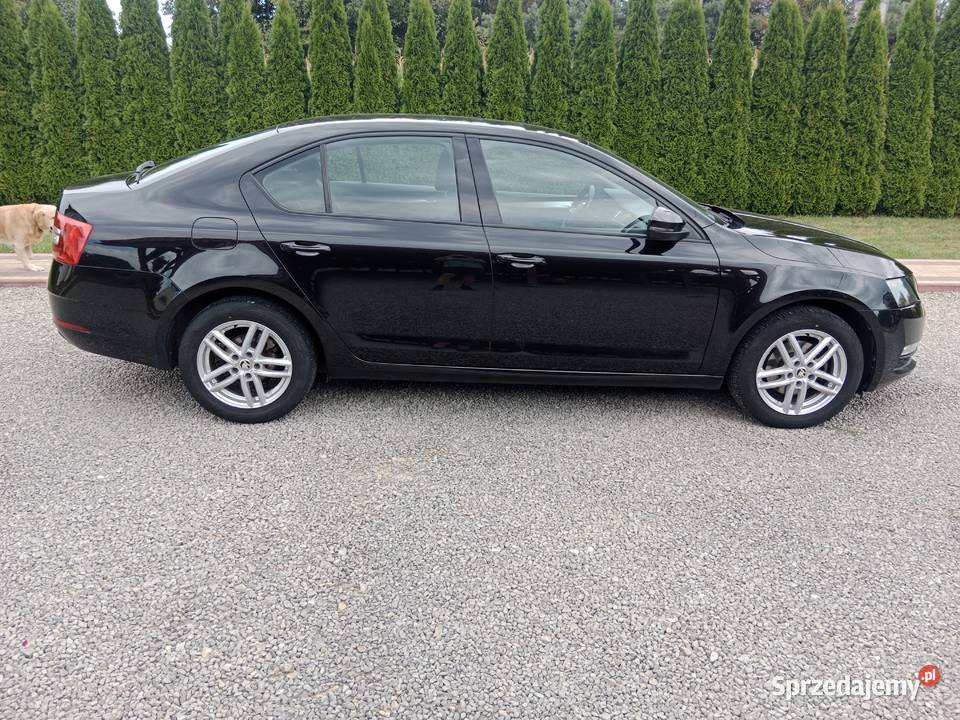 Skoda Octavia 14 2017r