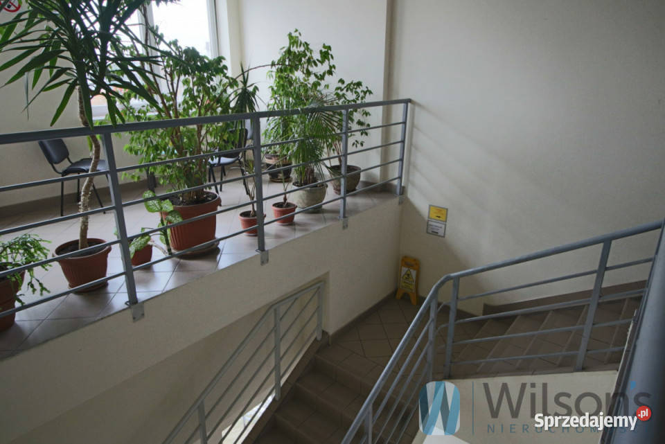 wynajmu lokalu 9183m2 Warszawa Wynajem