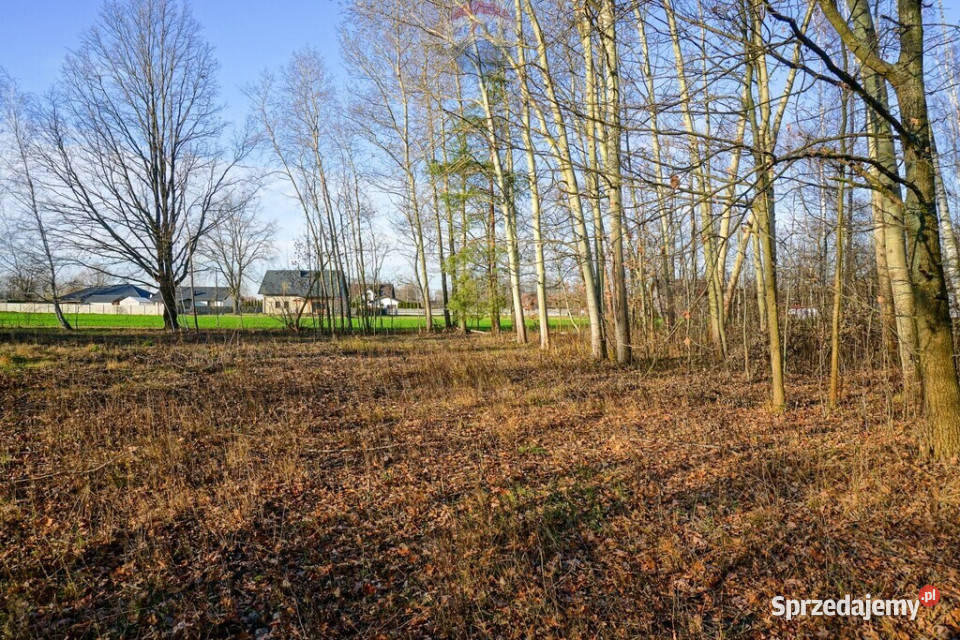 Działka budowlana 1002m2 Grądy k Żyrardowa Sprzedaż mazowieckie