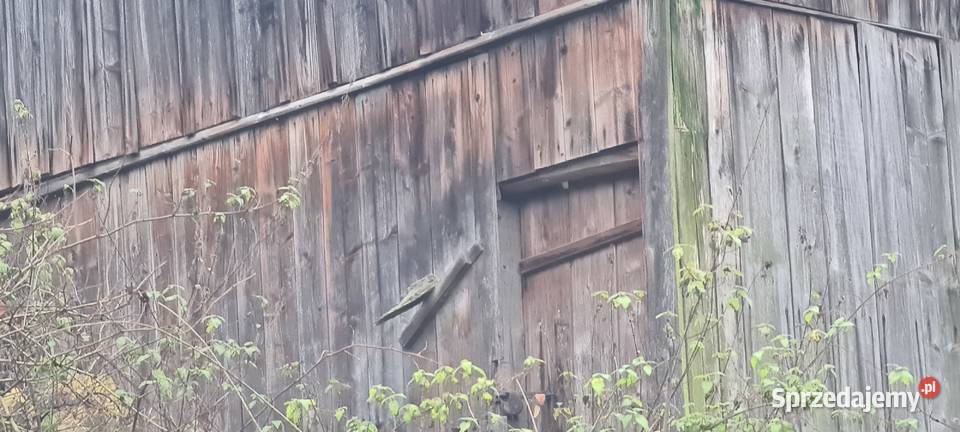 Stare Deski Kłodne