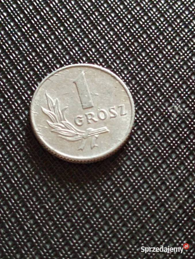 Sprzedam drugi 1 grosz 1949 r bzm Numizmatyka Chełm