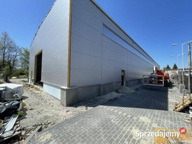 Lokal 805772m2 Opole