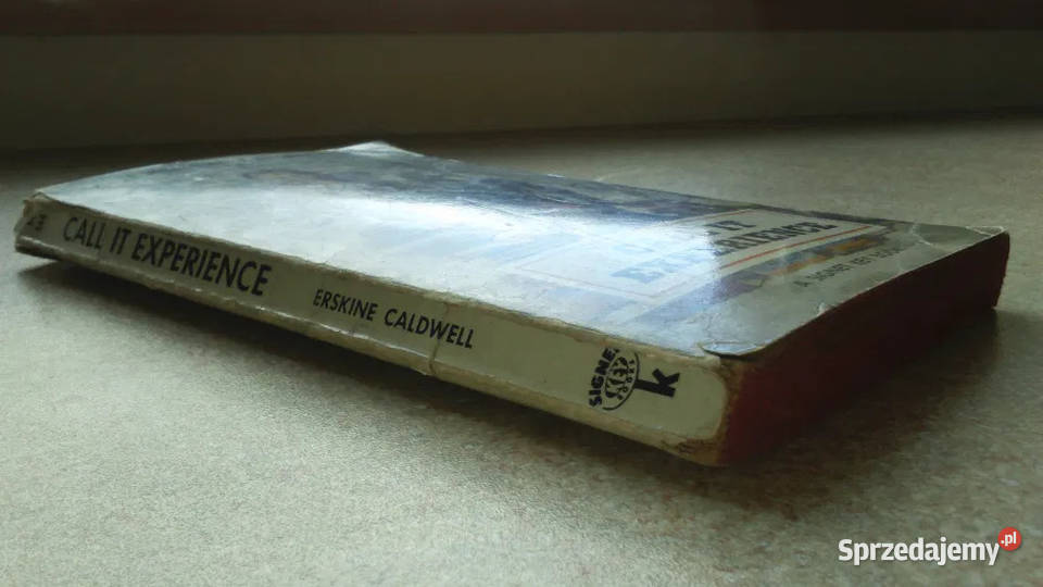 Oryg Książka w Języku Ang Call It Experience Gliwice