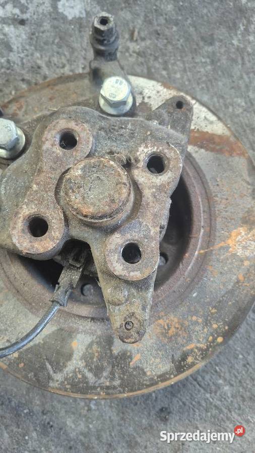 Tarcze ył Reno scenik megan laguna