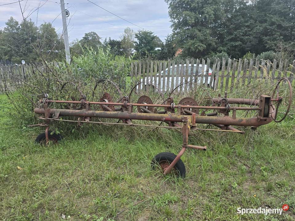 Zgrabiarka 5 gwiazdkowa Płock