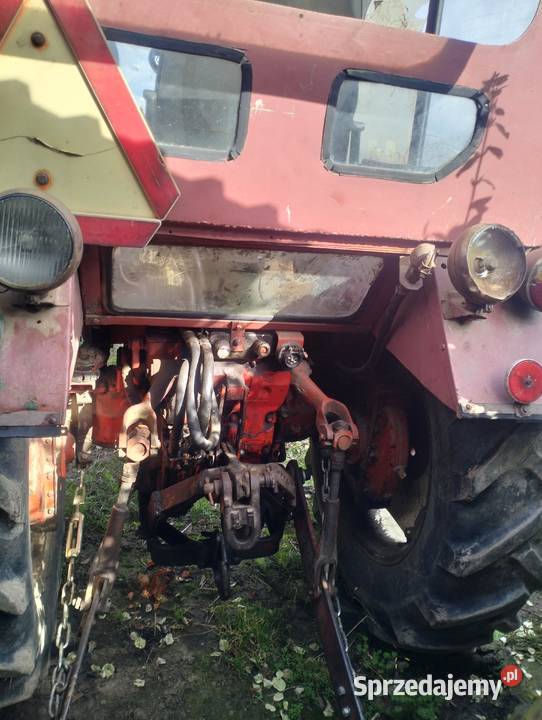 Władymicec t25 Gorzów Wielkopolski sprzedam