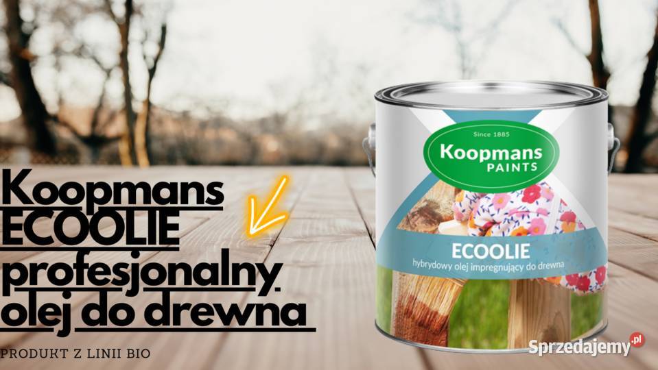 Koopmans Ecoolie olej do drewna hybrydowy Legnica