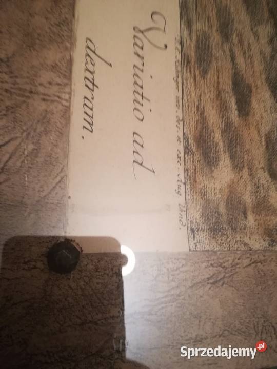 Przepiękna litografia barwiona Ridinger Pruszków sprzedam