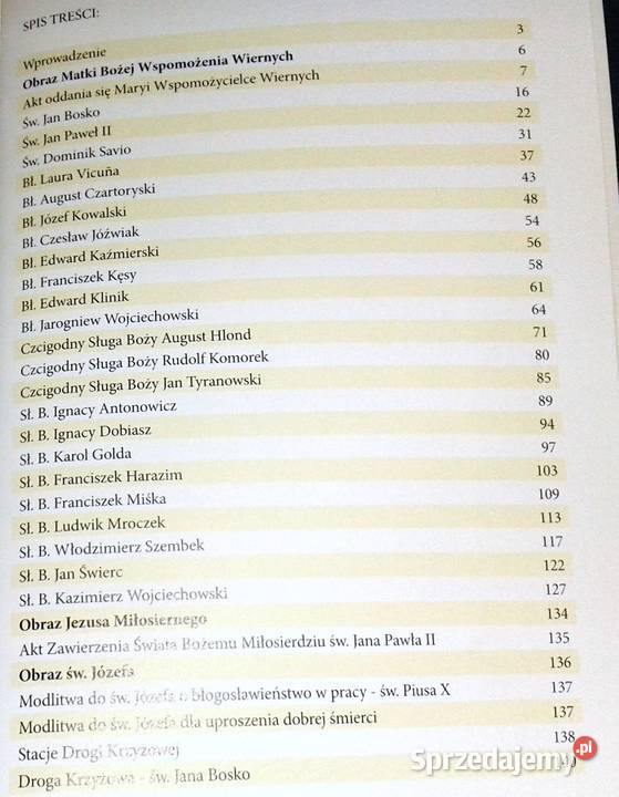 Salezjanie Obraz MB Wspomożenia wiernych Lublin lubelskie Chełm