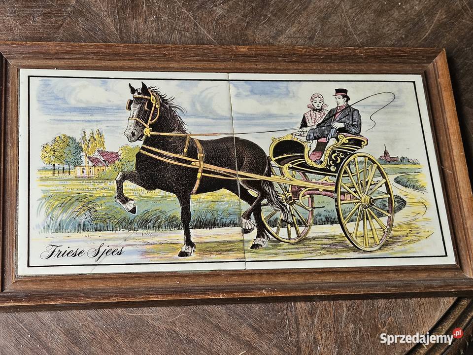 Obraz na płytce ceramicznej 179 Poznań sprzedam