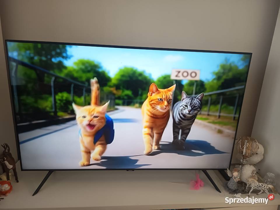 Telewizor Samsung 55 warmińsko-mazurskie Iława