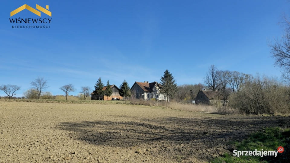 Połowa domu Stajnia działka 8003 m2 Ząbrowiec