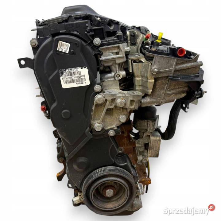 SILNIK UFDB Ford Focus III MK3 C C II 20 TDCI osobowe Chełm