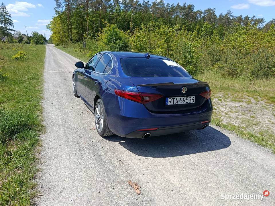 Alfa Romeo Gulia 20 Giulia podkarpackie Nowa Dęba