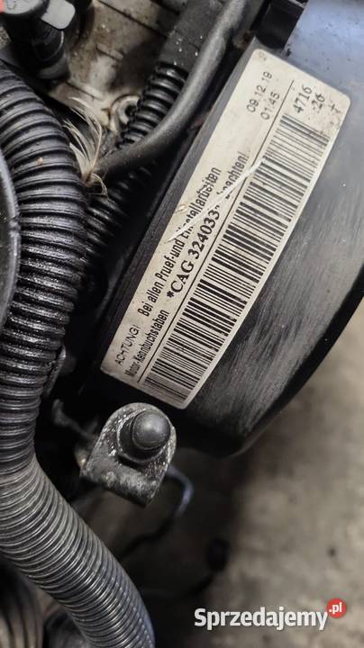 Silnik kompletny caga Rok produkcji 2010 Sanniki