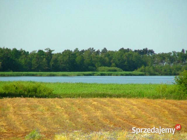 Działka budowlana Gleźnowo budowlana Sprzedaż Dąbki