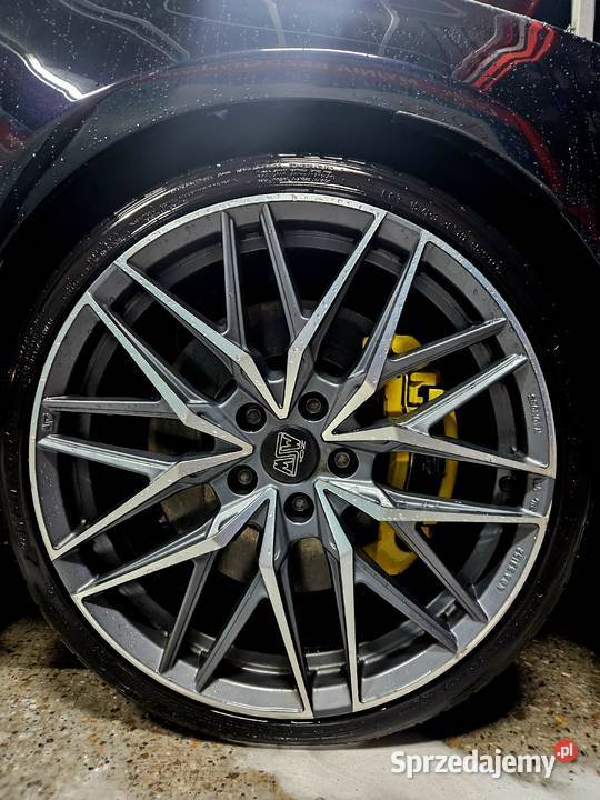 Golf 6R Golf Radzanów