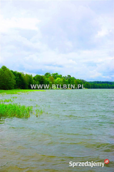 Działka Supienie 3728m Sprzedaż