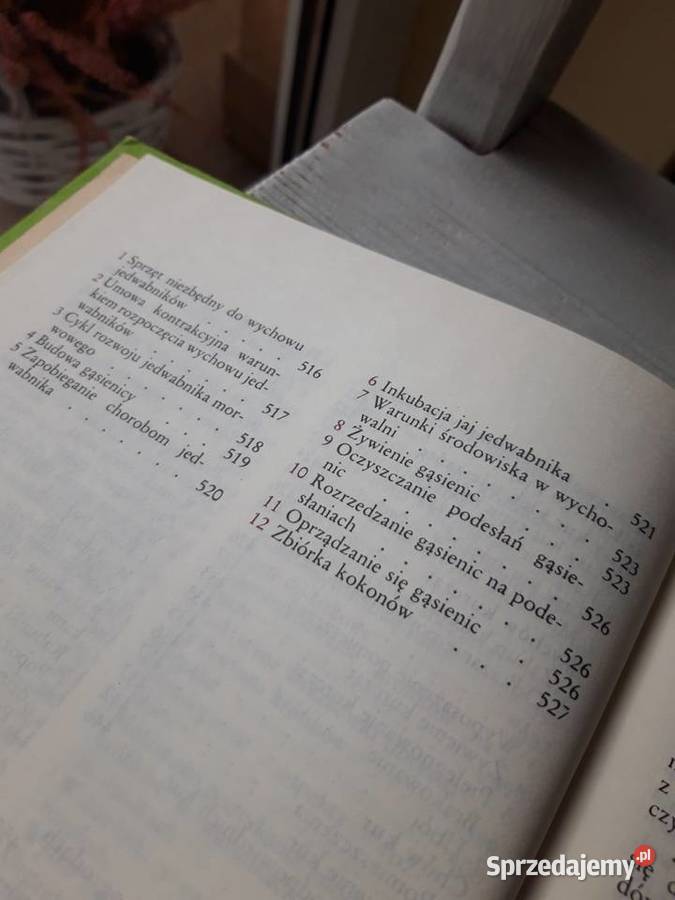 Na działce wiosny do jesieni 1990 Bielsko-Biała