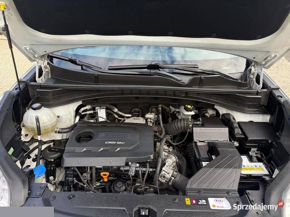 Kia Sportage 17 CRDI 2WD DreamTeam Edition 115 SUV Krotoszyn