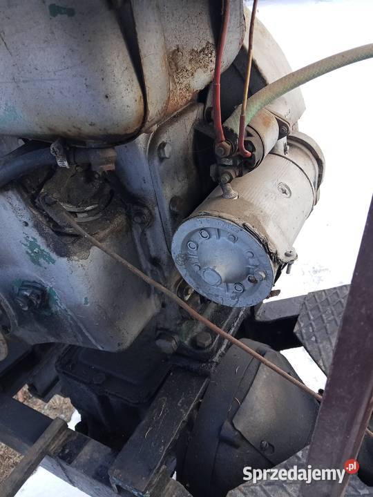 Sam esiok papaj Pozostałe Kocmyrzów