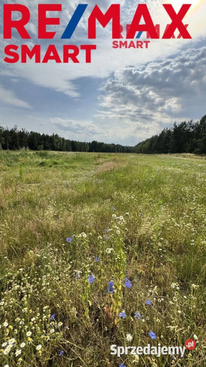 działka budowlana w otoczeniu lasu Gójszcz sprzedam