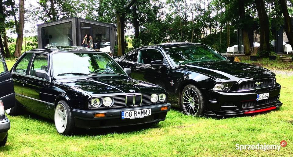 Mustang Premium 37 305 81000TKM ROUSH Motoryzacja Głogówek