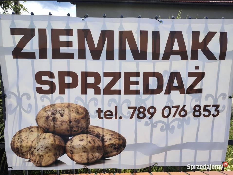 Ziemniaki Rolnika Wilcza