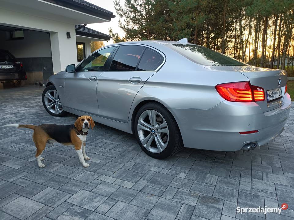 Bmw 5 f10 sedan diesel nieuszkodzony Radom