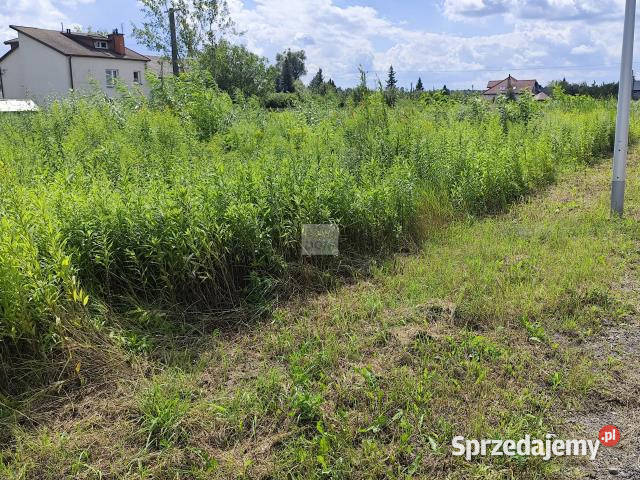 sprzedaży gruntu 992m2 Ciemne 390000zł/m2 sprzedam