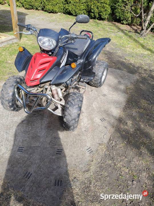 Quad Bashan 150 nieuszkodzony Motoryzacja Radziejów